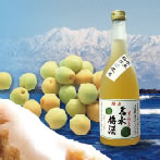 幻の瀧 名水梅酒